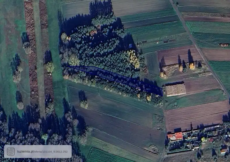 Działka na sprzedaż Kuczki