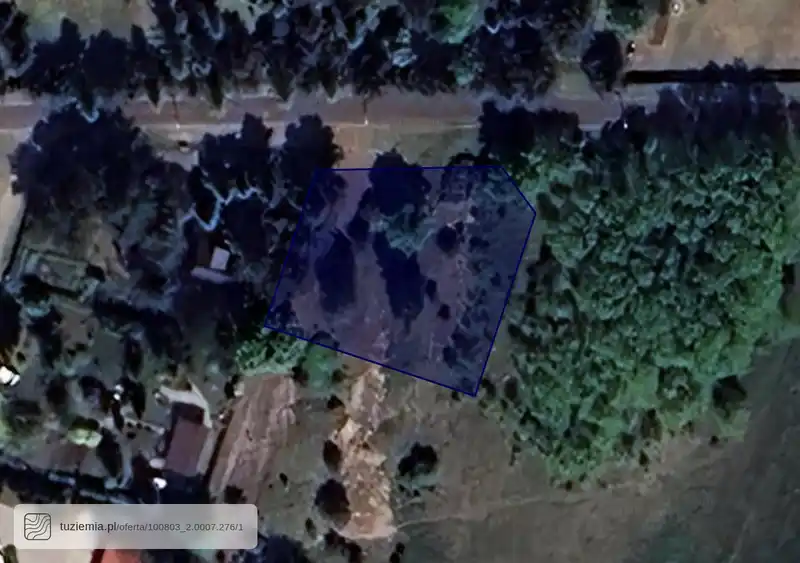 Działka na sprzedaż Drzewociny