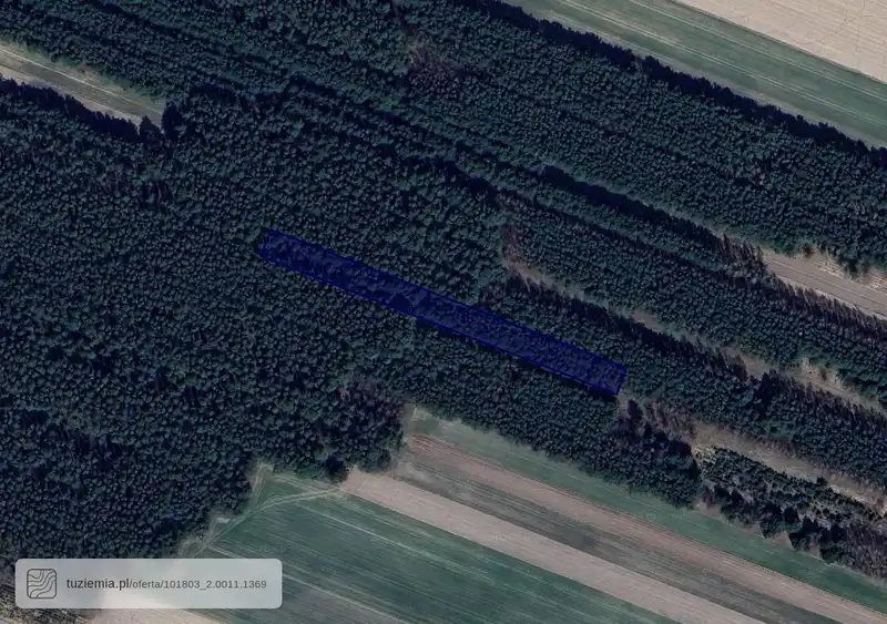 Działka na sprzedaż Osiek