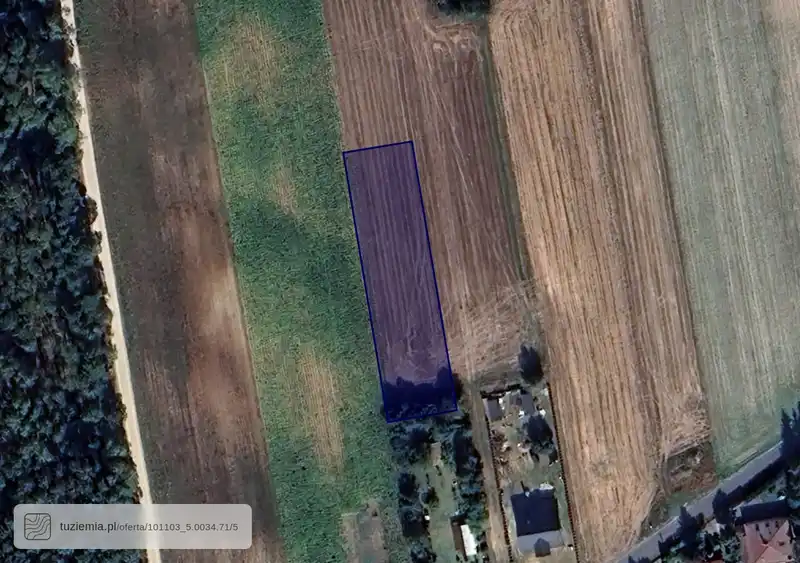 Działka na sprzedaż Panaszew