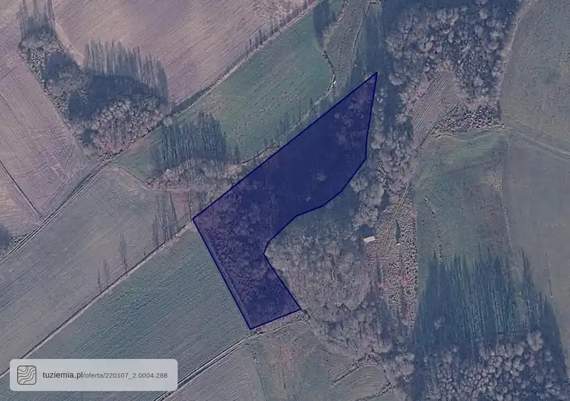 Działka na sprzedaż Gołczewo