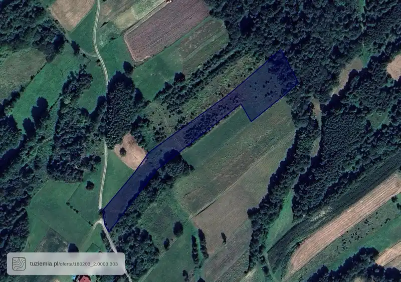 Działka na sprzedaż Grabówka