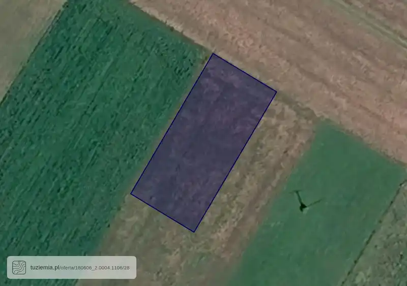 Działka na sprzedaż Dzikowiec