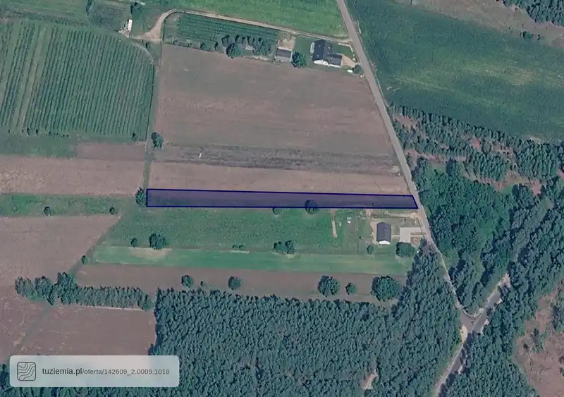 Działka na sprzedaż Gołąbek