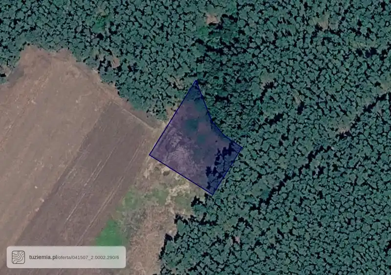 Działka na sprzedaż Dobrzejewice