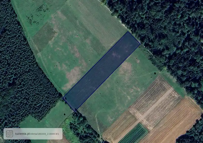 Działka na sprzedaż Jabłonka