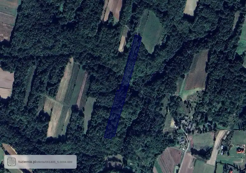 Działka na sprzedaż Las Stocki