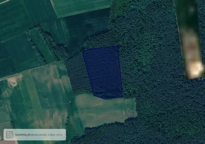 Działka na sprzedaż Targonie