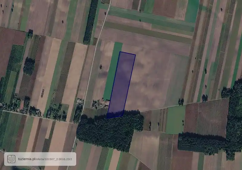 Działka na sprzedaż Nowa Trzcianna