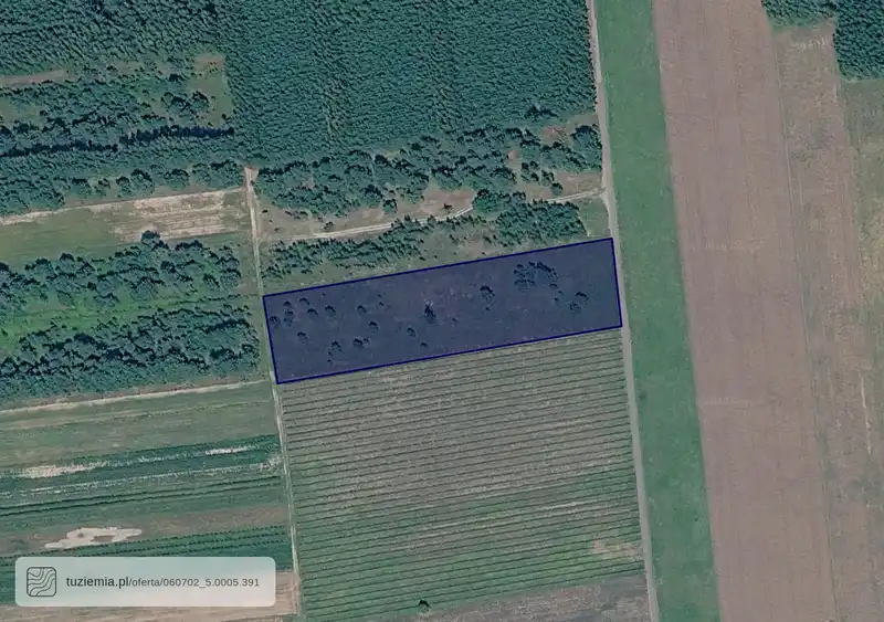Działka na sprzedaż Dąbrowa