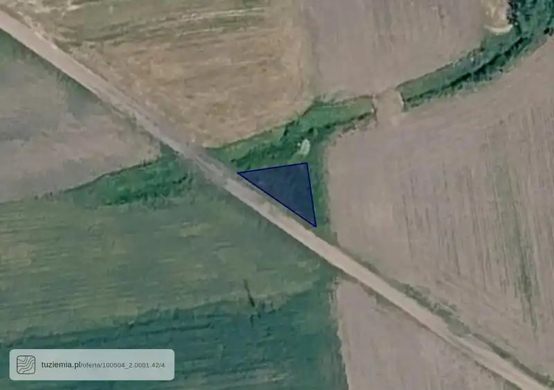 Działka na sprzedaż Domaniewice