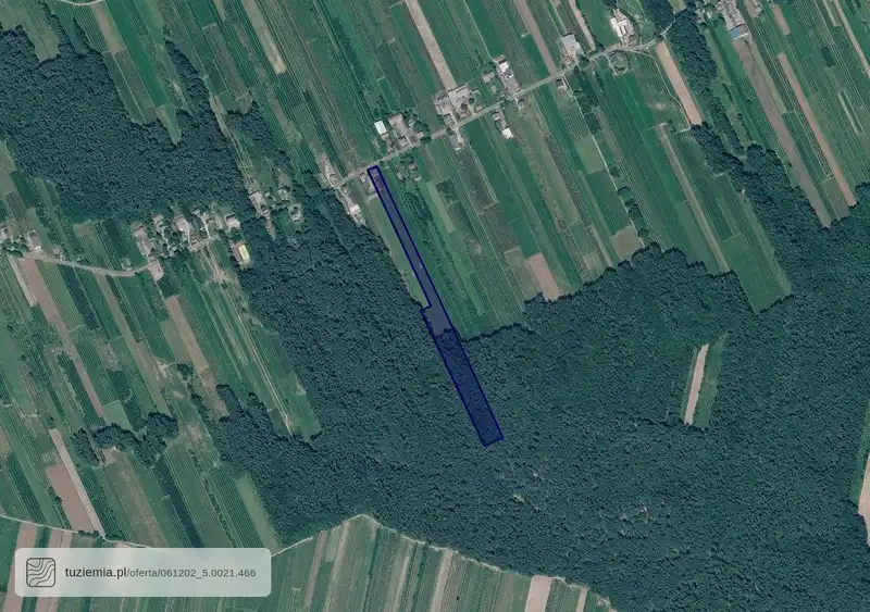 Działka na sprzedaż Niesiołowice