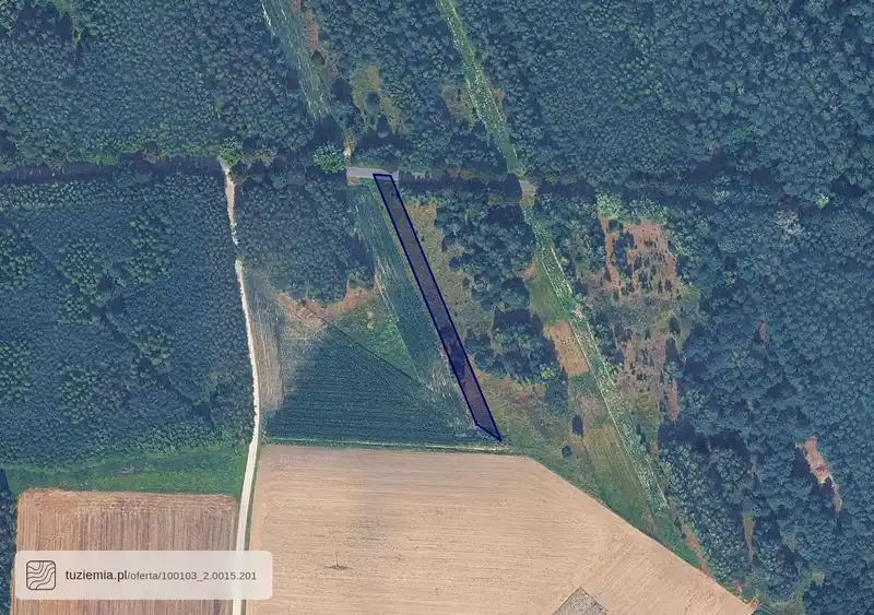 Działka na sprzedaż Łęczyca