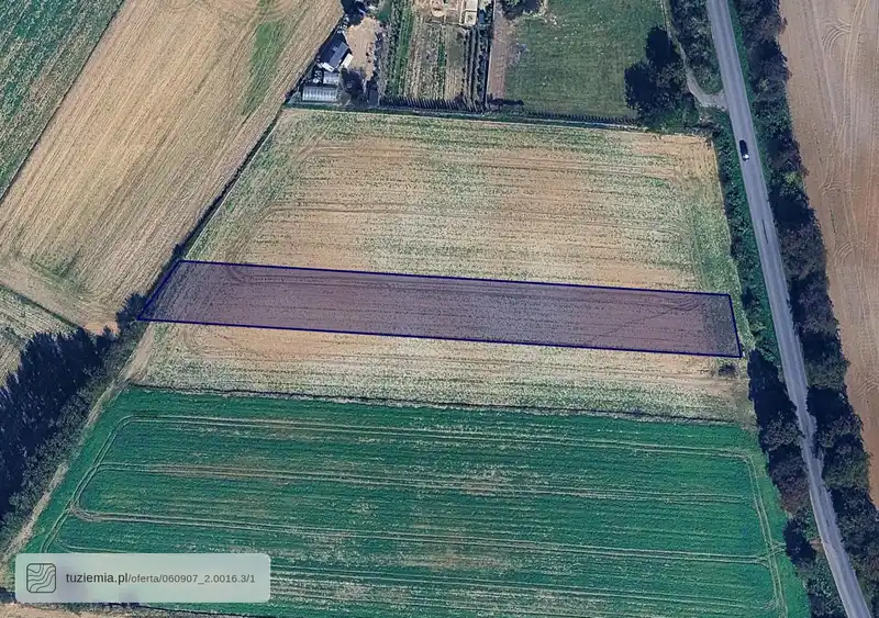 Działka na sprzedaż Piotrawin 2