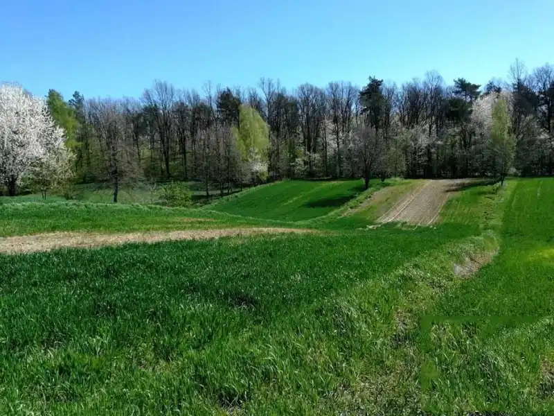 Działka na sprzedaż Wierciszów