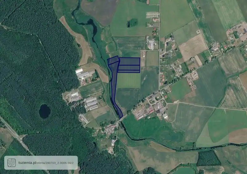 Działka na sprzedaż Dziarny