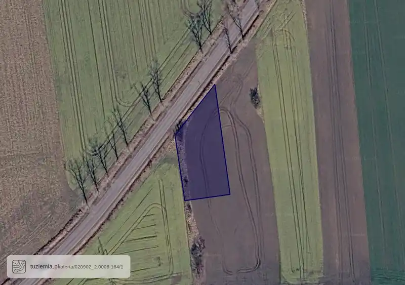 Działka na sprzedaż Goliszów