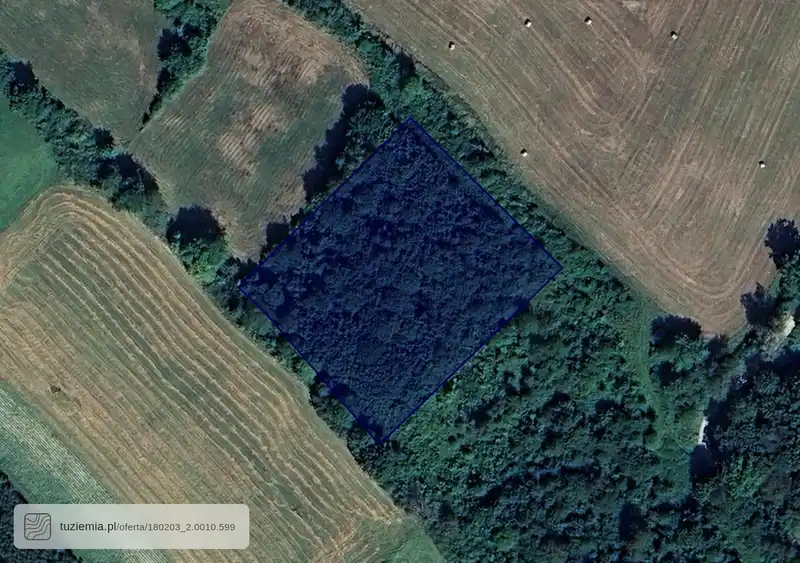 Działka na sprzedaż Końskie