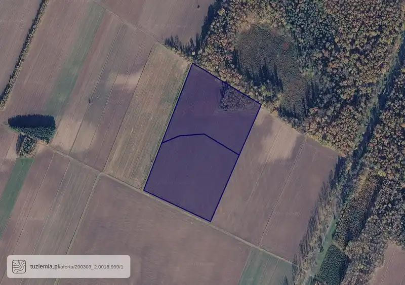 Działka na sprzedaż Knorydy