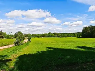 Zdjęcie 6
