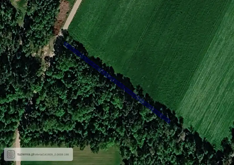 Działka na sprzedaż Leśniewo