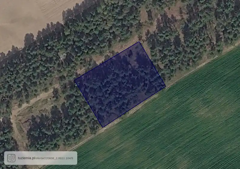 Działka na sprzedaż Lipy