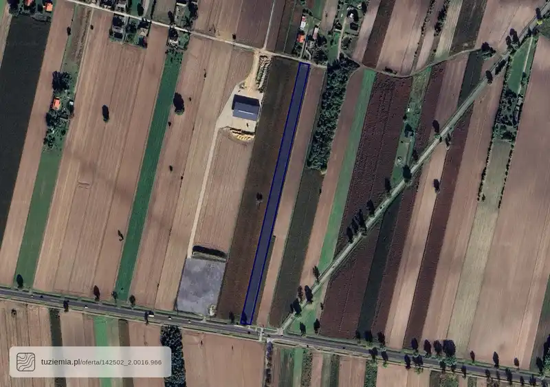 Działka na sprzedaż Kolonia Kuczki