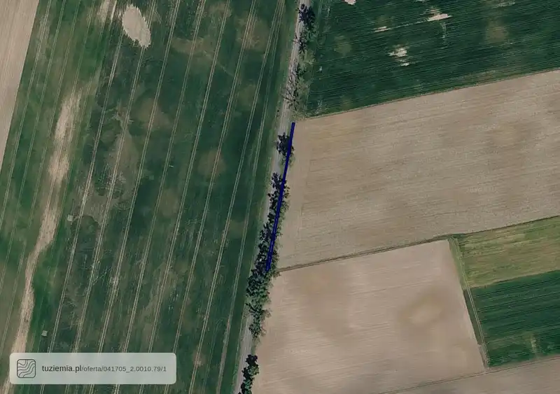 Działka na sprzedaż Orzechowo