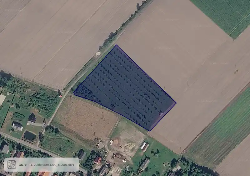 Działka na sprzedaż Dryżyna