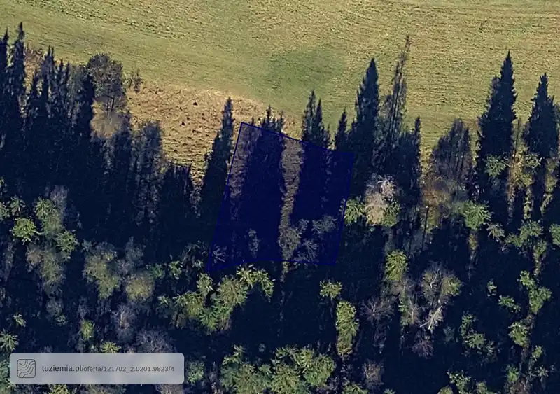 Działka na sprzedaż Biały Dunajec
