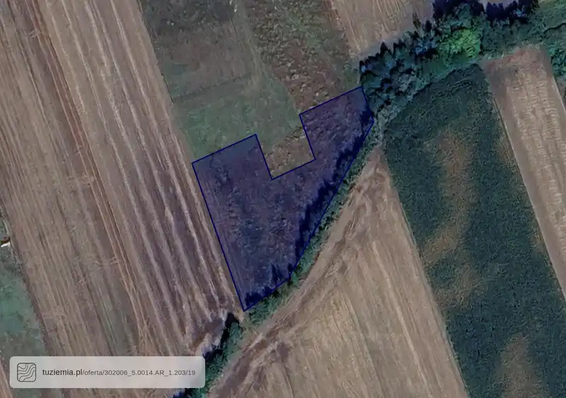 Działka na sprzedaż Ludwina