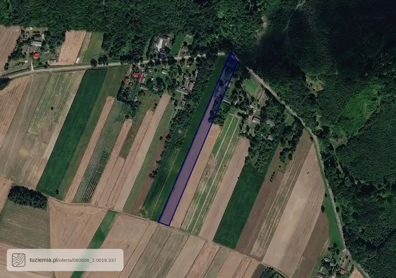 Działka na sprzedaż Zalesie