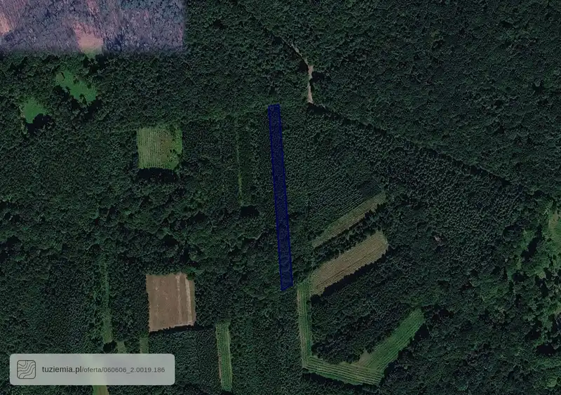 Działka na sprzedaż Zalesie