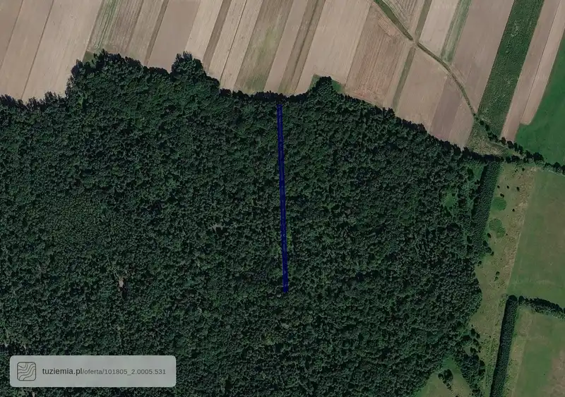 Działka na sprzedaż Ludwinów