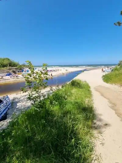Zdjęcie 8