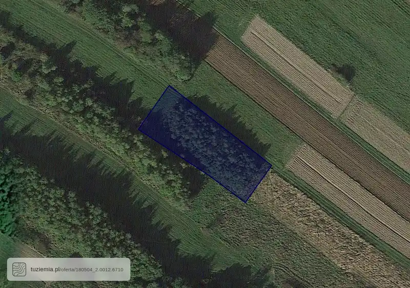 Działka na sprzedaż Osobnica
