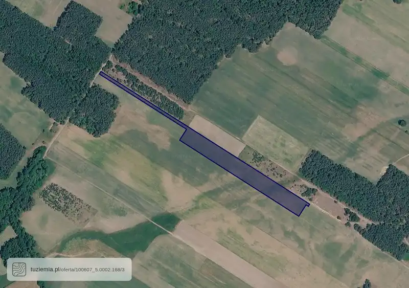 Działka na sprzedaż Borowo I
