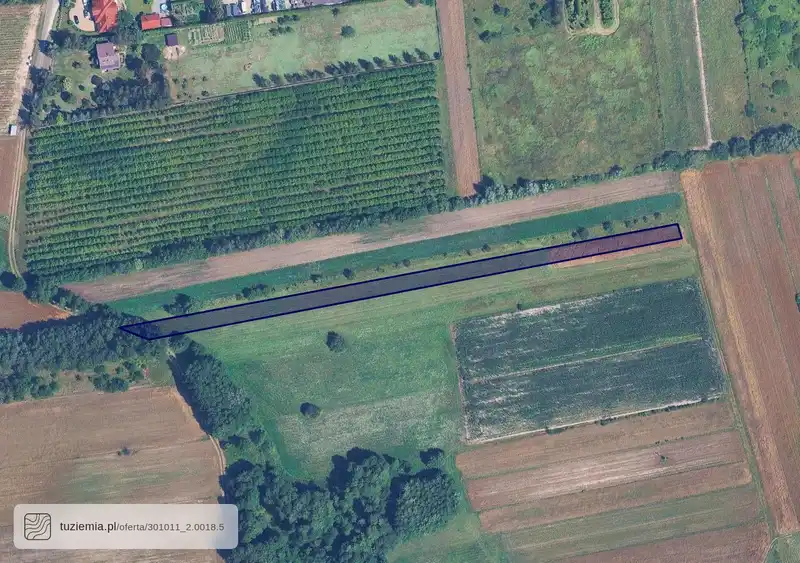 Działka na sprzedaż Żychlin