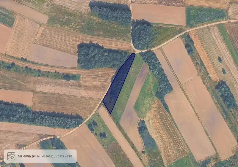 Działka na sprzedaż Bzianka