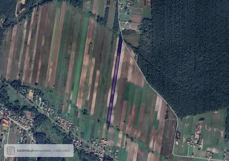 Działka na sprzedaż Belno