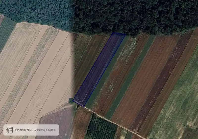Działka na sprzedaż Olesin