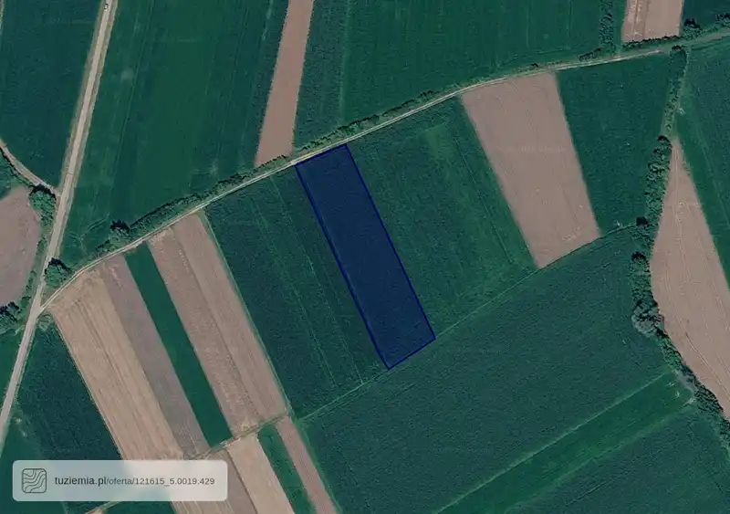 Działka na sprzedaż Siedliszowice