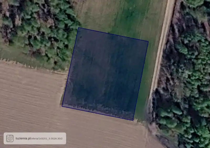 Działka na sprzedaż Piorunów