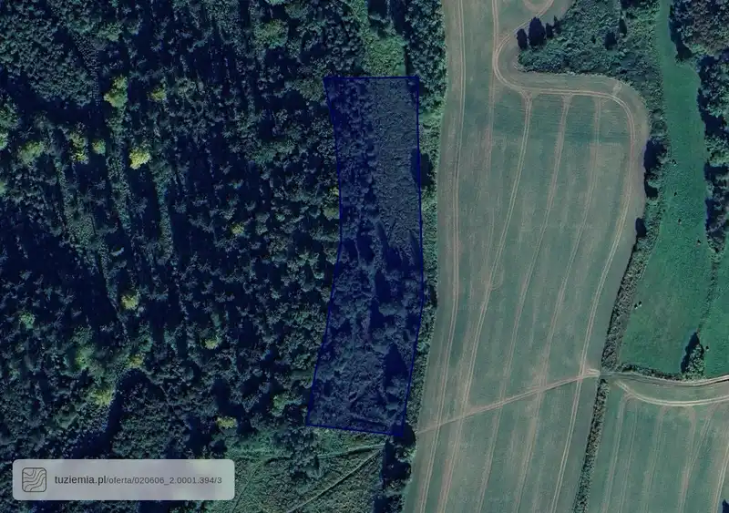 Działka na sprzedaż Czernica