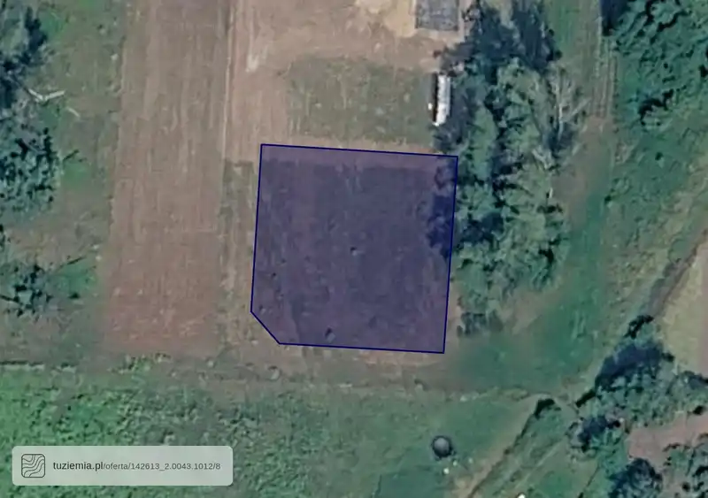 Działka na sprzedaż Zbuczyn