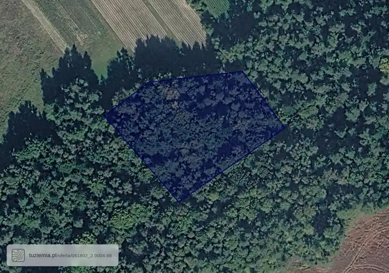 Działka na sprzedaż Święcie-Kolonia