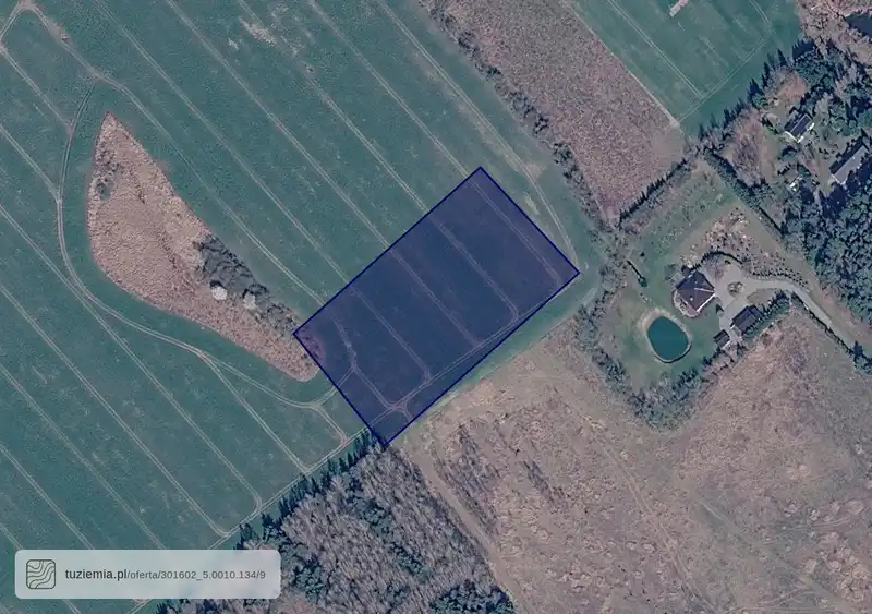 Działka na sprzedaż Nienawiszcz