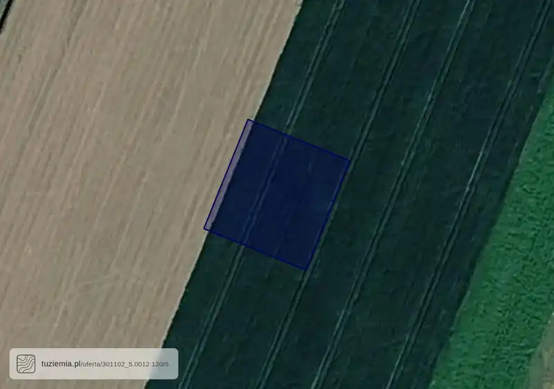 Działka na sprzedaż Piechanin
