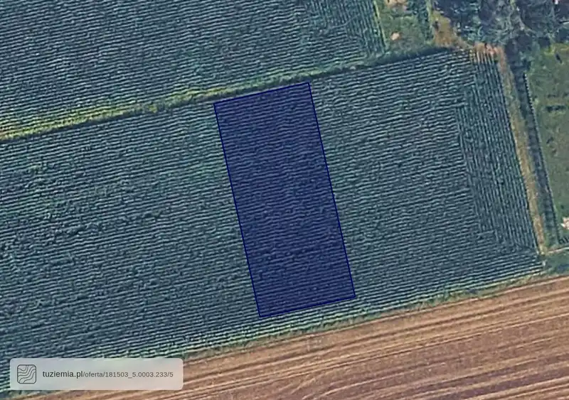 Działka na sprzedaż Lubzina