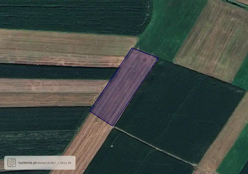 Działka na sprzedaż Miączyn Mały